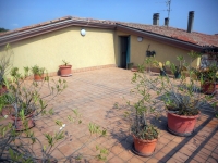 Albignasego. Porzione di casa con terrazzo abitabile di mq. 45